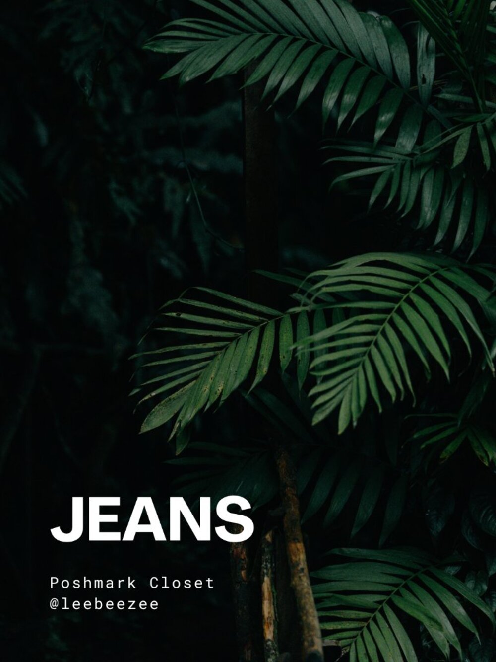 SHOP JEANS!